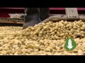 Tv Agro 2012 HD