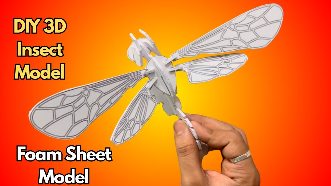 DIY 3D Insect Model 🐝 | Foam Sheet Craft | Step by Step Tutorial - YouTube