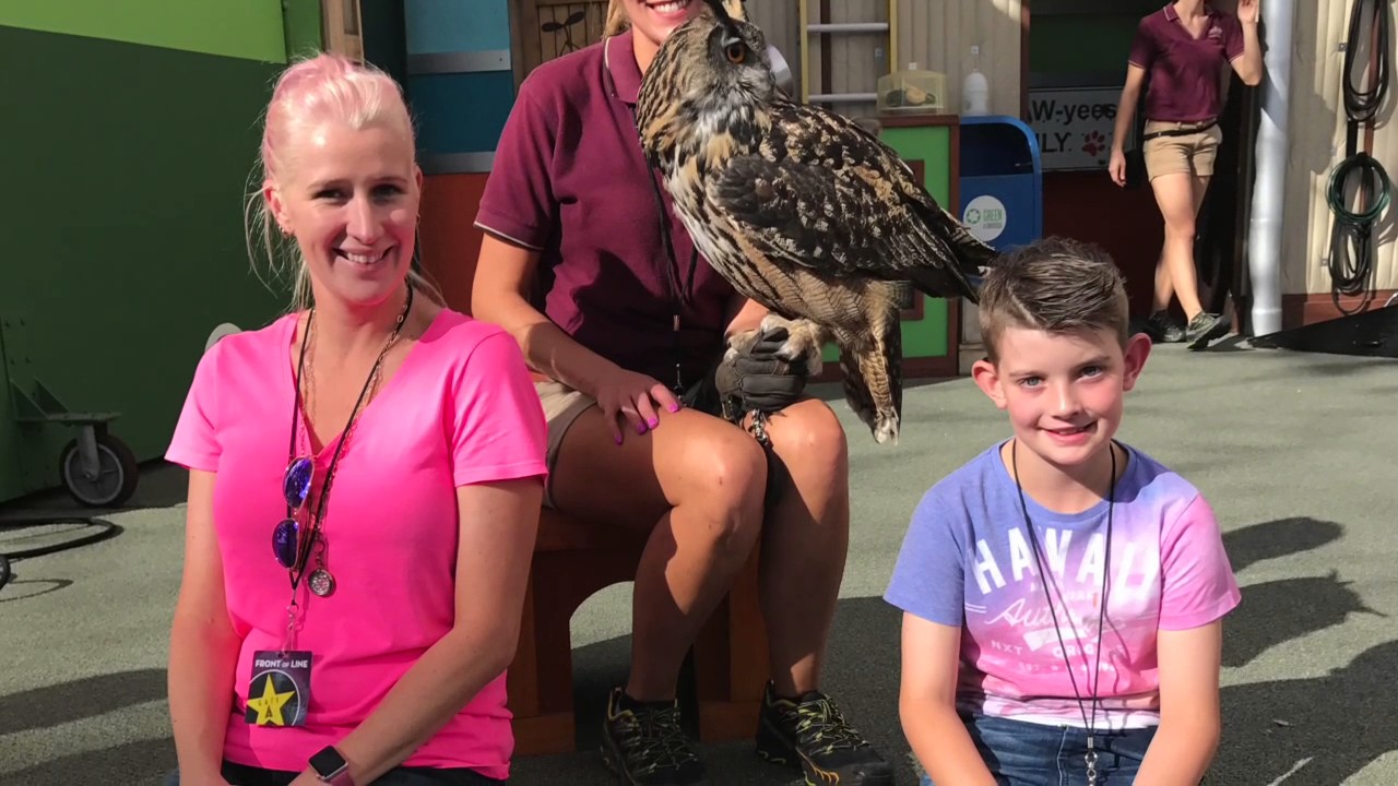 Universal Studios Hollywood - GoPro 2016