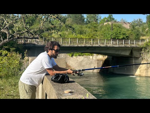 \"ერთხელ სიონზე\" 🌳🐟🎣 ბანაობა, მწვადაობა და გუბეში თევზაობა 🌊