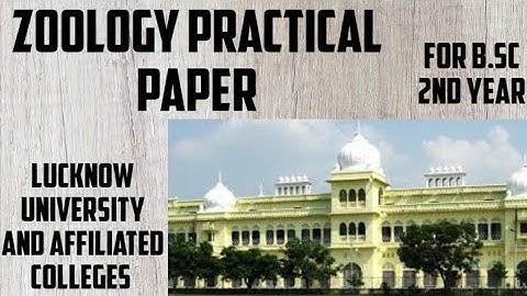 Zoology practical paper of lucknow University and affiliated colleges of B.sc 2nd year