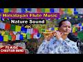 Himalayan Flute Music | Nature Sound | Bansuri | Basuri Dhun | Birds & River Sound | Instrumental 4K