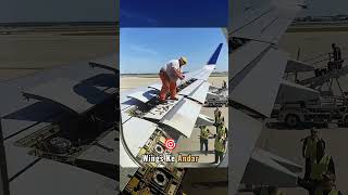 अगर Fuel Wings में न हो तो Plane कितना महंगा हो जाएगा? 😱