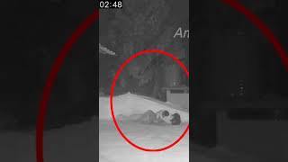 cctvcamera love real Ghost Cctv camera footage full video Amma Media Channel