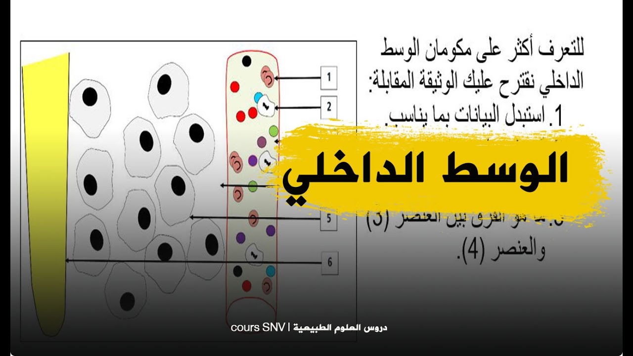 مكونات الوسط الداخلي و اهميته في تمرين علوم طبيعية الرابعة متوسط