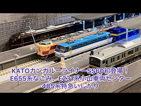 各メーカー　【カンガルーライナー　SS60風】　再現12両セット コキ102+103「カンガルーライナーSS60」が入線です。KATO 10