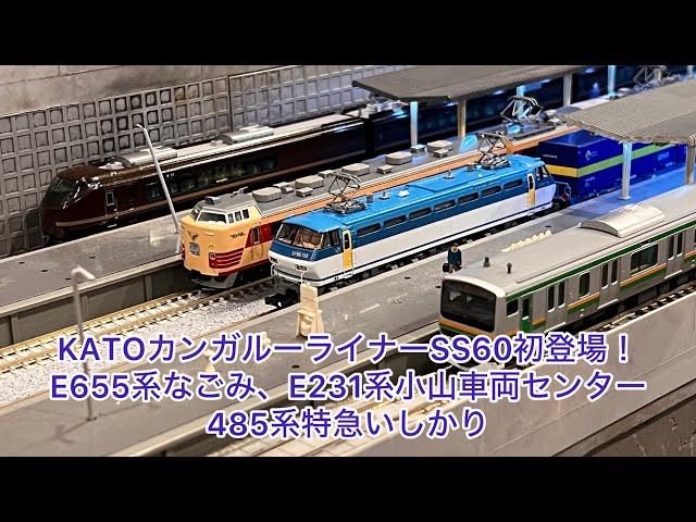 カンガルーライナーSS60 20両セット ☆特価品 コキ102+103「カンガルーライナーSS60」 8両セット (8