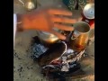 روح البداوة