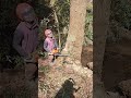 Hollow some part on the bottom felling a cedar