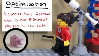 Optimisation (with a pig)