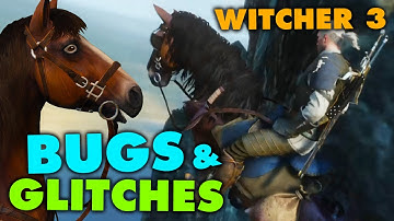 The Witcher 3: Wild Hunt - Bugs and Funny Moments