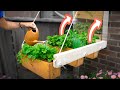 How to Garden in a TINY Space