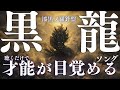【再生と同時に才能が覚醒】黒龍の漆黒エネルギーが心の奥底に火を灯す｜自己覚醒・意志強化・創造力UP・使命発見