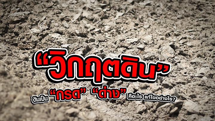 เคร องว ดความเป นกรด-ด าง ม ย ห อไหนบ าง