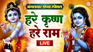 Download Lagu LIVE - हरे रामा हरे कृष्णा ~ Hare Krishna Hare Krishna, Krishna Krishna Hare Hare #krishnajikebhajan MP3 Download Lagu LIVE - हरे रामा हरे कृष्णा ~ Hare Krishna Hare Krishna, Krishna Krishna Hare Hare #krishnajikebhajan MP3