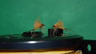 Tying the CDC March Brown