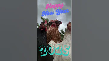 Happy New Year 2025 