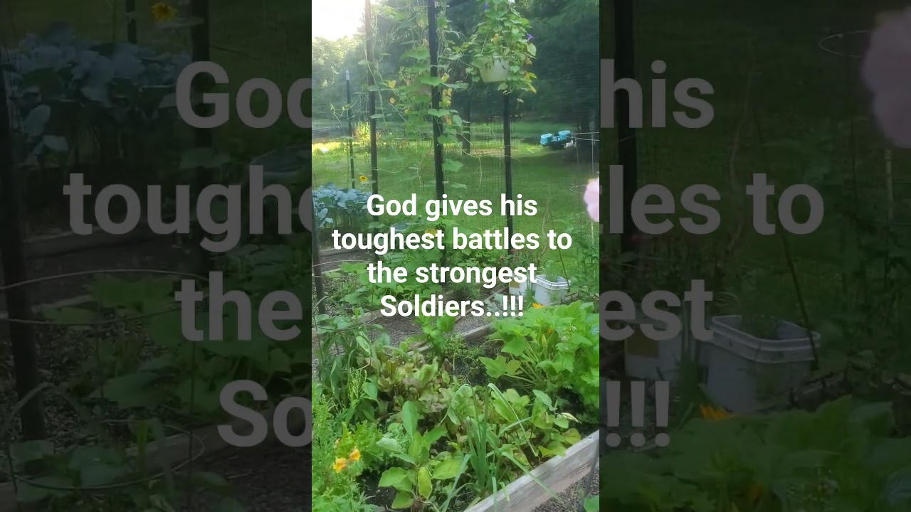 Stead fast Family...!! 