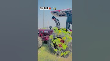 #5k #race #ha 😂#red #hourse ❤️‍🔥✈️🚜#automobile 🇨🇦#trendingshortsviral ✌️🌎#jattlife 😎