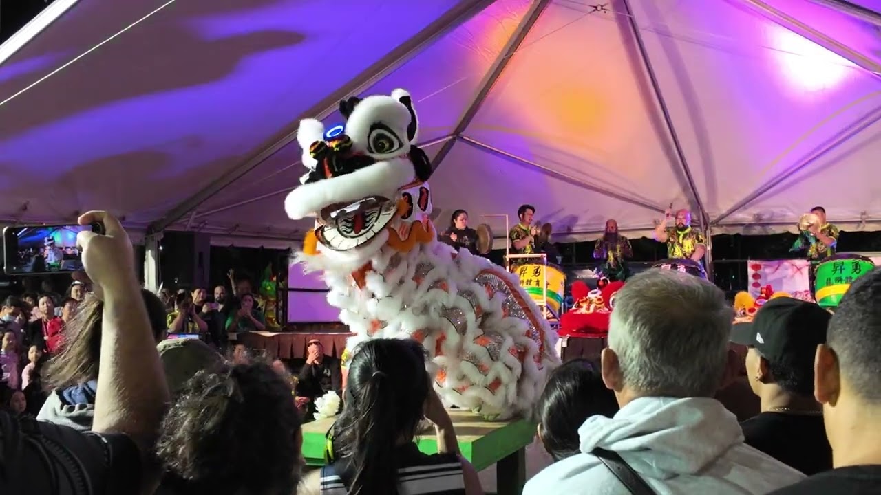 Night in Chinatown Honolulu, Hawaii CNY 2024 - Sing Yung Lion Dance Performance 4K HD