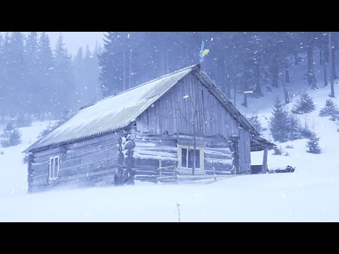 Video: Jūsu ceļvedis RVing Aļaskā