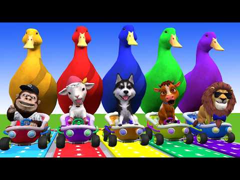 Long Slide Game With Cow Elephant Gorilla Hippopotamus Tiger - 3d Animal Game - Funny 3d Animals