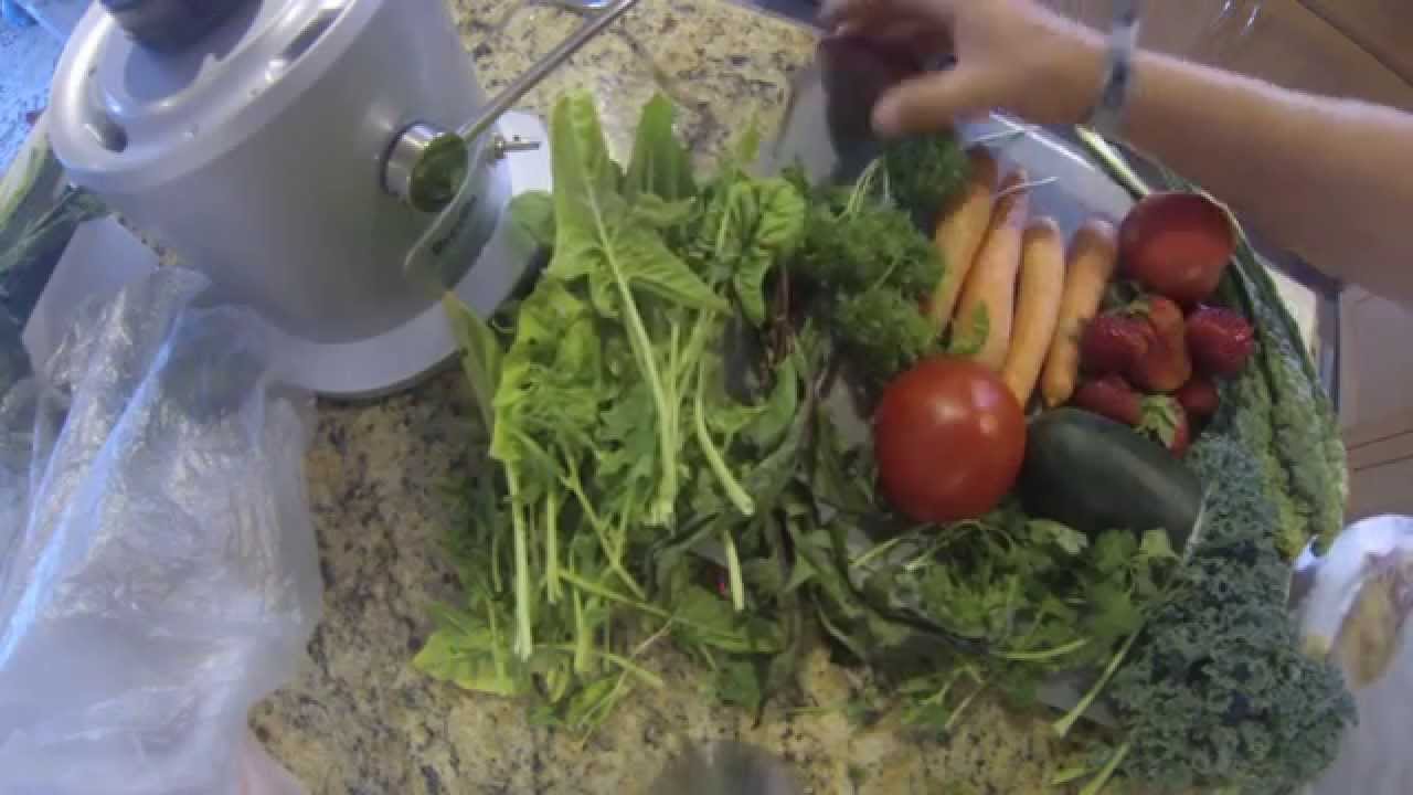Juicing for Dummies. Using a Breville Juicer. YouTube