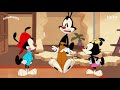 Animaniacs 2020 but is different