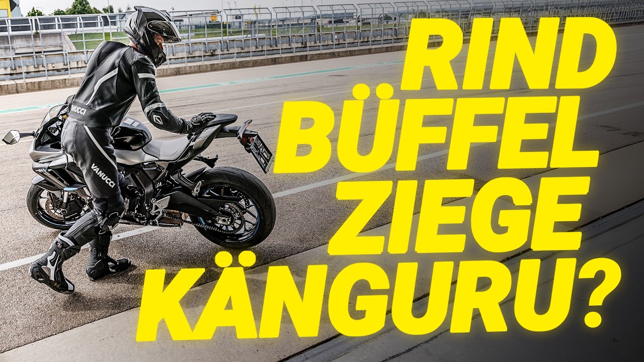 Leder-Motorradbekleidung: Was schützt am Besten?