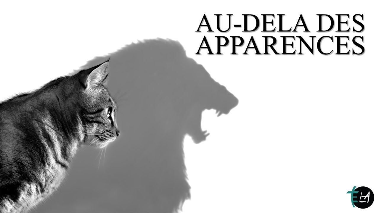 Au Delà des Apparences - YouTube