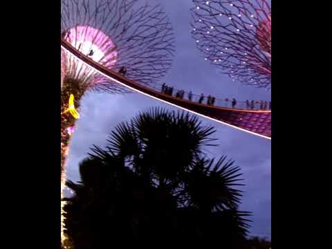 Video: Singaporen puutarhat By The Bay