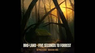 Bro-Land - Five Seconds to Forrest (DJ Pacecord - Massive Mix)