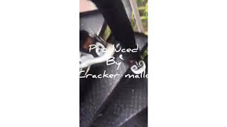 The Studio Session Of Geezyonyx Hit Song Answer Me Produced By Cracker Mallo