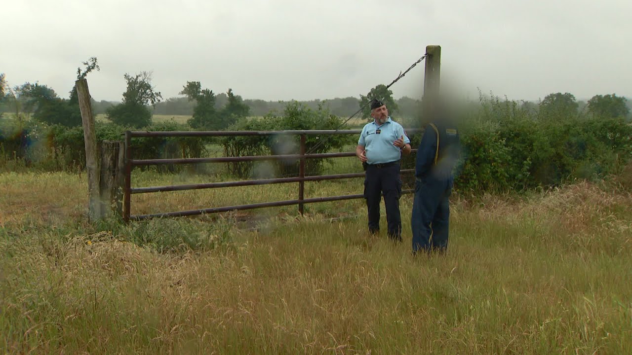 Élevage : des moutons sous surveillance