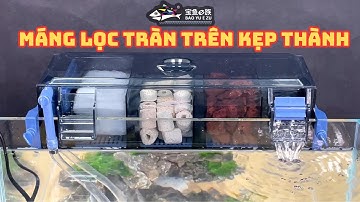 Máng lọc tràn trên kẹp thành ngon - bổ - rẻ cho bể vừa và nhỏ