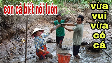 Tát Mương Bắt Cá Cuối Mùa Nước Lũ Ở Miền Tây # SĂN BẮT ĐỒNG THÁP #