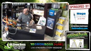 Grow Boss Live Live Stream- E#300 Cannabis Call In Show learn to grow marijuana