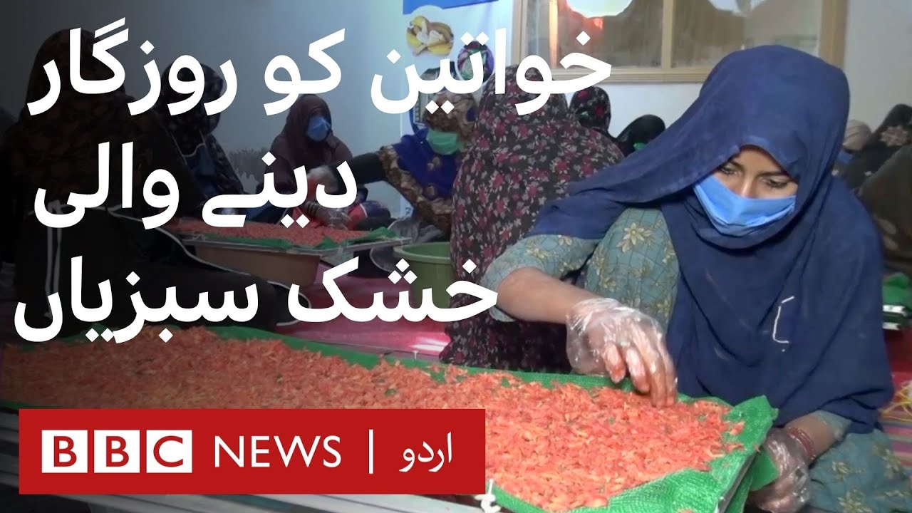 Dry vegetables helping women financially  - BBC URDU
