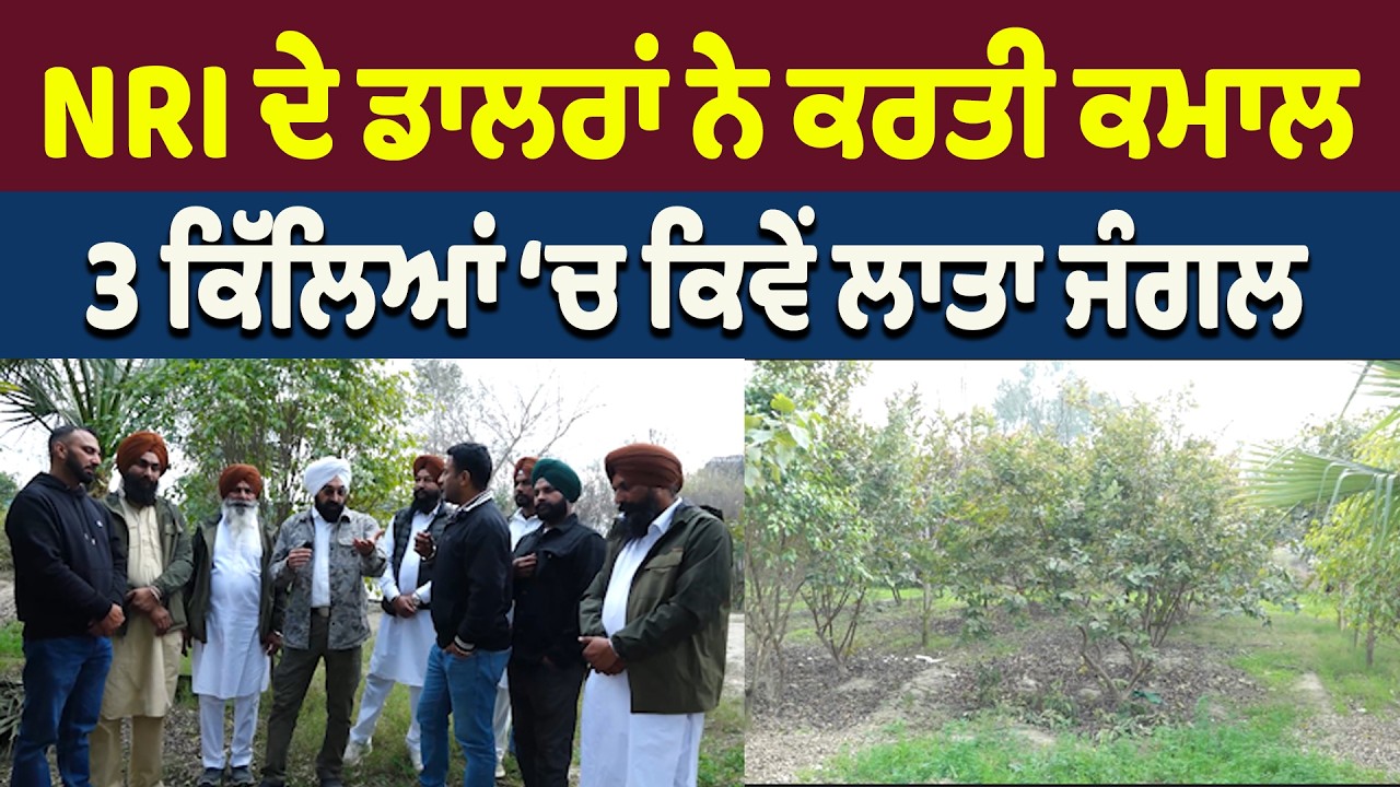 NRI ਪੰਜਾਬੀਆਂ ਨੇ ਲਾਤਾ ਸਿਰਾ…ਆਜੋ ਰੀਸ ਕਰੋ ਏਸ ਪਿੰਡ ਦੀ…