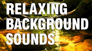 Small Creek And Birds Relax Background Small Creek And Birds Relax Background