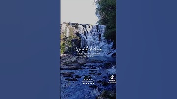 راحه نفسيه اللهم اجعل القران الكريم ربيع قلوبنا ونور صدرونا يارب العالمين