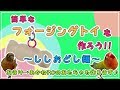 ★ ～１／３回目 ししおどし準備編～フォージングトイ(知育おもちゃ)を作ろう♪ チャレンジャーはウロコインコ キョロ ※オマケ付き★ＤＩＹ企画  Green-cheeked Parakeet