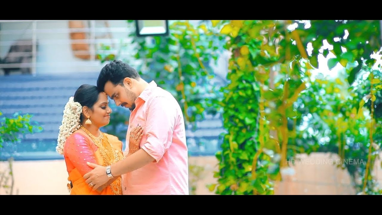 Traditional Wedding Highlights of Gokul & Binitha | HD wedding Cinema