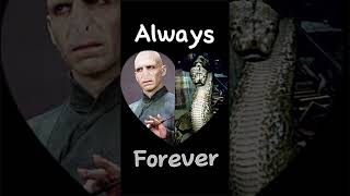 You And Me  Voldemort And Nagini harrypotter hogwarts hp voldemort nagini