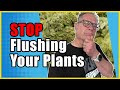 The truth about flushing your plants that cannabis nutrient companies dont want you to know