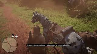 HILARIOUS Moments In RDR2! - I Just Wanted To Help | Unedited ‎@JUGGERN0C