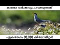 Artic Tern | Malayalam | iT's Wild