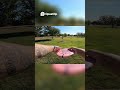 Birdie Golf Shot Amazing Par and Perfect Score! at RCP-DG #discgolf #frisbeesport #shorts #frolf