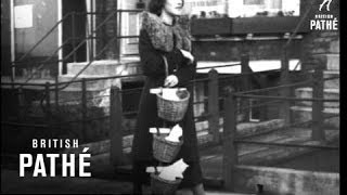 Kittens In Basket Aka Kittens And Basket Stick 1937