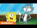 SpongeBob | Nickelodeon Arabia | سبونج بوب | ما هو سر كيني؟